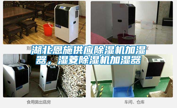 湖北恩施供應小黄片软件免费下载加濕器，濕菱小黄片软件免费下载加濕器