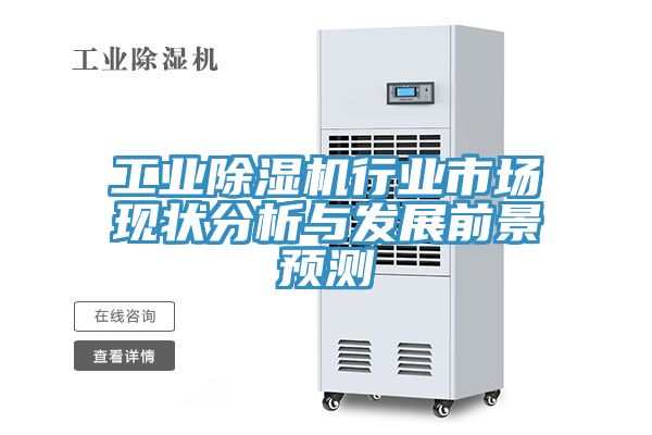 工業小黄片软件免费下载行業市場現狀分析與發展前景預測