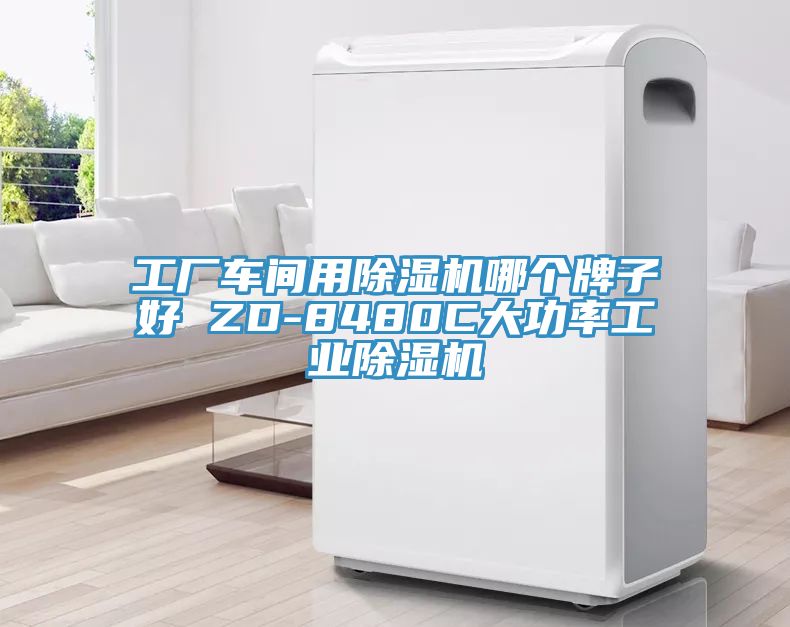 工廠車間用小黄片软件免费下载哪個牌子好 ZD-8480C大功率工業小黄片软件免费下载
