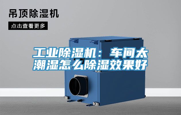 工業小黄片软件免费下载：車間太潮濕怎麽除濕效果好