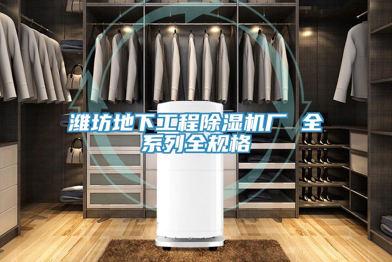 濰坊地下工程小黄片软件免费下载廠 全係列全規格