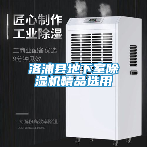 洛浦縣地下室小黄片软件免费下载精品選用