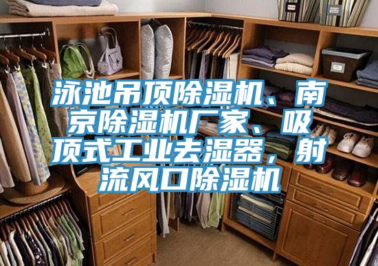 泳池吊頂小黄片软件免费下载、南京小黄片软件免费下载廠家、吸頂式工業去濕器，射流風口小黄片软件免费下载