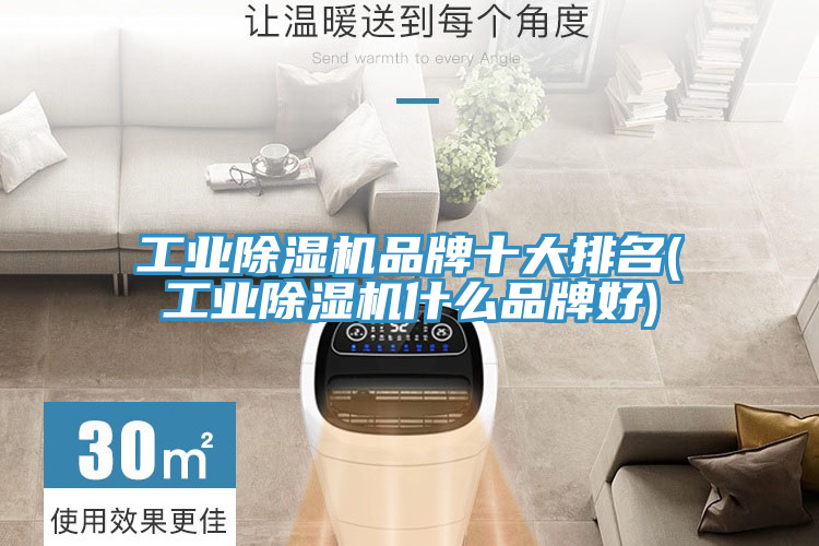 工業小黄片软件免费下载品牌十大排名(工業小黄片软件免费下载什麽品牌好)