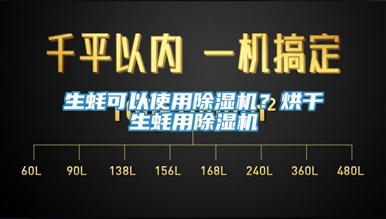 生蠔可以使用小黄片软件免费下载？烘幹生蠔用小黄片软件免费下载