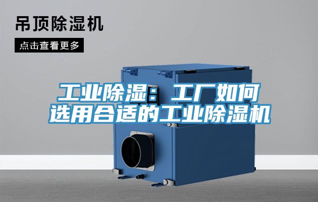 工業除濕：工廠如何選用合適的工業小黄片软件免费下载