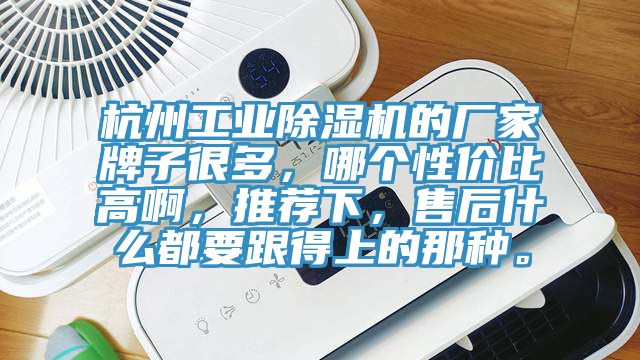 杭州工業小黄片软件免费下载的廠家牌子很多，哪個性價比高啊，推薦下，售後什麽都要跟得上的那種。
