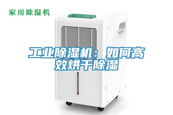 工業小黄片软件免费下载：如何高效烘幹除濕