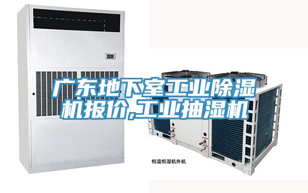 廣東地下室工業小黄片软件免费下载報價,工業抽濕機