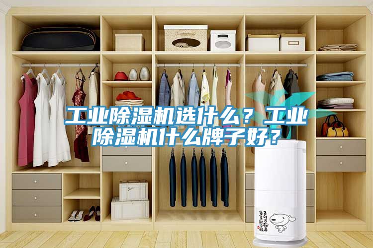 工業小黄片软件免费下载選什麽？工業小黄片软件免费下载什麽牌子好？