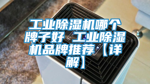 工業小黄片软件免费下载哪個牌子好 工業小黄片软件免费下载品牌推薦【詳解】