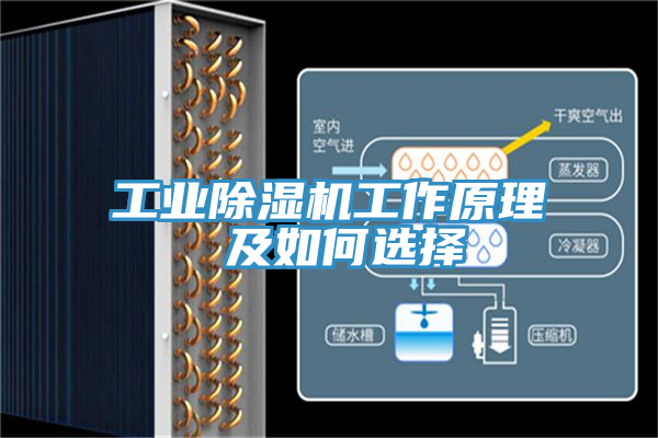 工業小黄片软件免费下载工作原理 及如何選擇