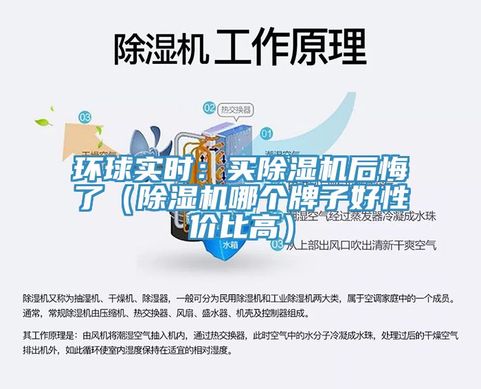 環球實時：買小黄片软件免费下载後悔了（小黄片软件免费下载哪個牌子好性價比高）