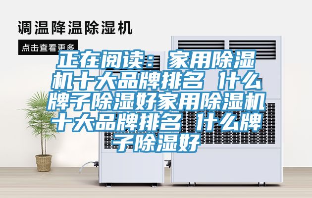 正在閱讀：家用小黄片软件免费下载十大品牌排名 什麽牌子除濕好家用小黄片软件免费下载十大品牌排名 什麽牌子除濕好