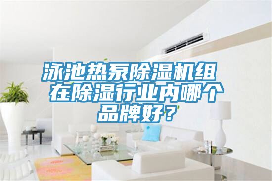 泳池熱泵小黄片软件免费下载組 在除濕行業內哪個品牌好？