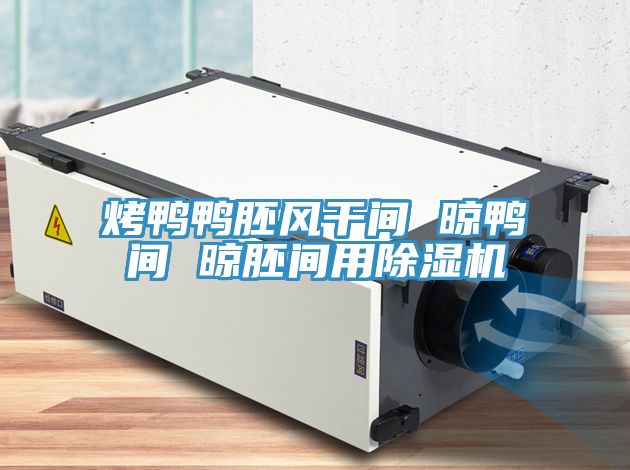 烤鴨鴨胚風幹間 晾鴨間 晾胚間用小黄片软件免费下载