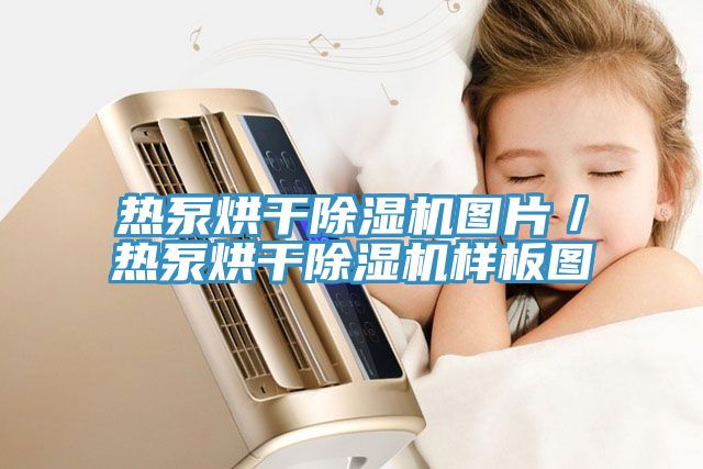 熱泵烘幹小黄片软件免费下载圖片／熱泵烘幹小黄片软件免费下载樣板圖