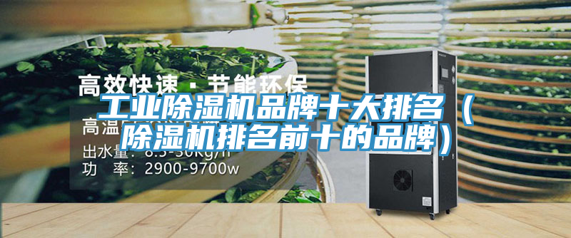 工業小黄片软件免费下载品牌十大排名（小黄片软件免费下载排名前十的品牌）