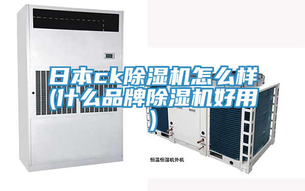 日本ck小黄片软件免费下载怎麽樣(什麽品牌小黄片软件免费下载好用)