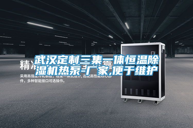 武漢定製三集一體恒溫小黄片软件免费下载熱泵-廠家,便於維護