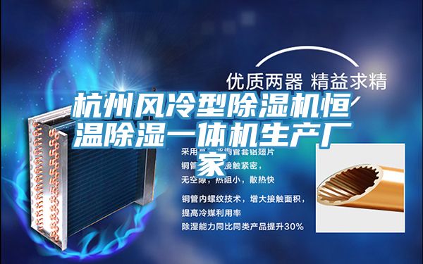 杭州風冷型小黄片软件免费下载恒溫除濕一體機生產廠家