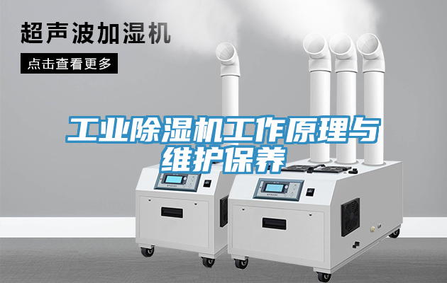 工業小黄片软件免费下载工作原理與維護保養
