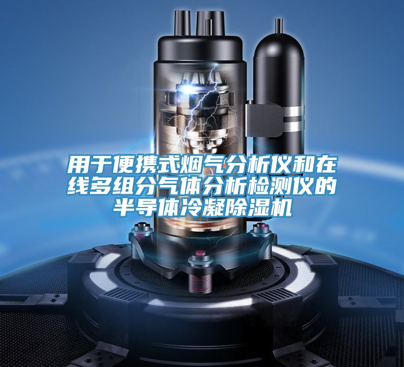 用於便攜式煙氣分析儀和在線多組分氣體分析檢測儀的半導體冷凝小黄片软件免费下载