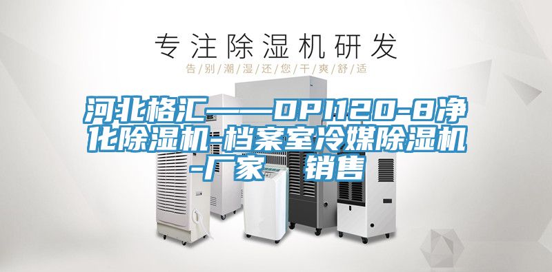 河北格匯——DPI120-8淨化小黄片软件免费下载-檔案室冷媒小黄片软件免费下载-廠家  銷售