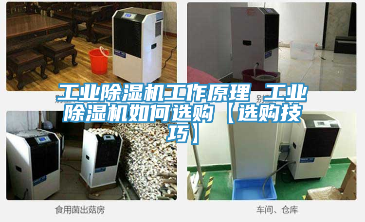 工業小黄片软件免费下载工作原理 工業小黄片软件免费下载如何選購【選購技巧】