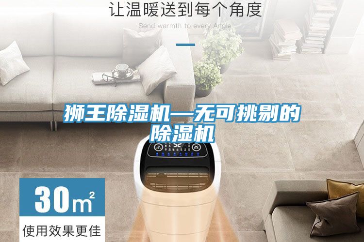 獅王小黄片软件免费下载—無可挑剔的小黄片软件免费下载
