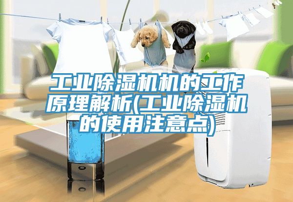 工業小黄片软件免费下载機的工作原理解析(工業小黄片软件免费下载的使用注意點)