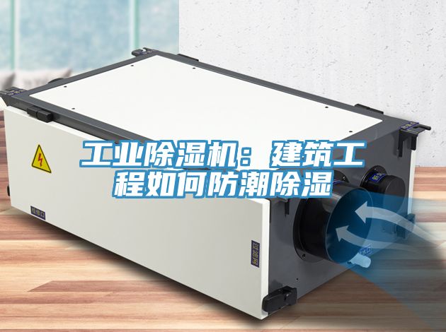 工業小黄片软件免费下载：建築工程如何防潮除濕
