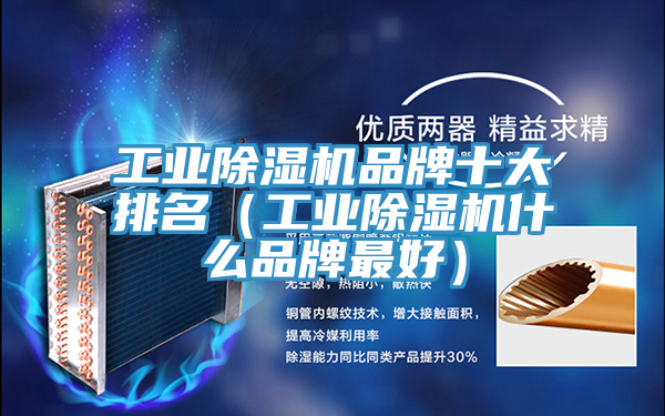 工業小黄片软件免费下载品牌十大排名（工業小黄片软件免费下载什麽品牌最好）
