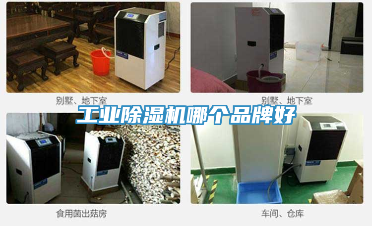 工業小黄片软件免费下载哪個品牌好