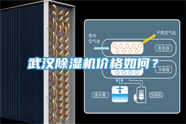 武漢小黄片软件免费下载價格如何？