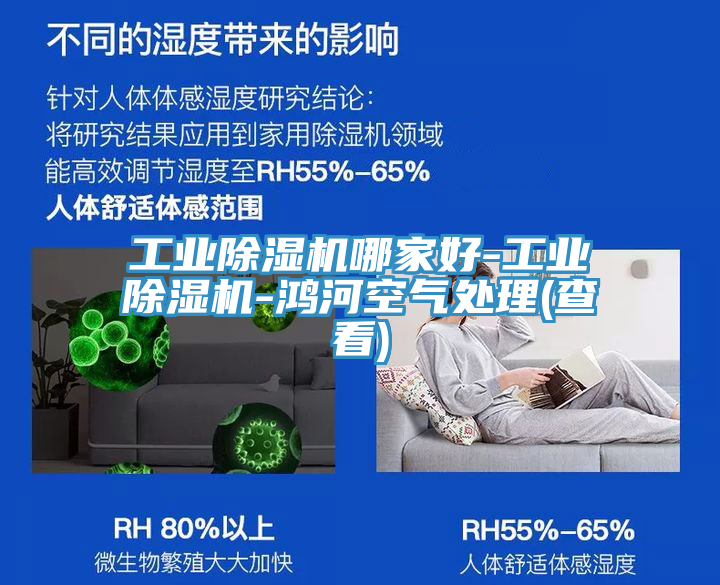 工業小黄片软件免费下载哪家好-工業小黄片软件免费下载-鴻河空氣處理(查看)