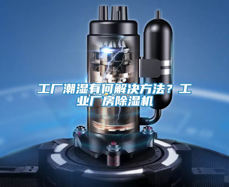 工廠潮濕有何解決方法？工業廠房小黄片软件免费下载