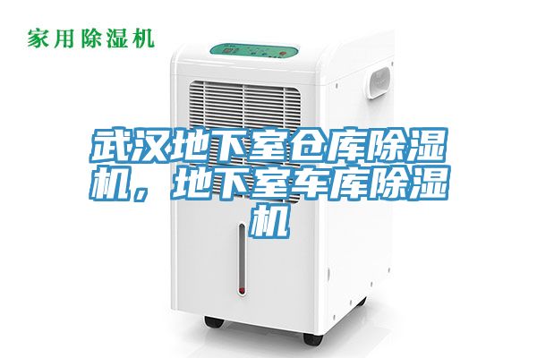 武漢地下室倉庫小黄片软件免费下载，地下室車庫小黄片软件免费下载