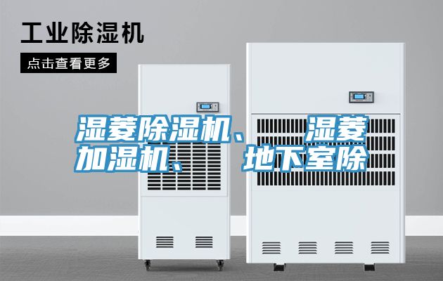 濕菱小黄片软件免费下载、  濕菱加濕機、  地下室除