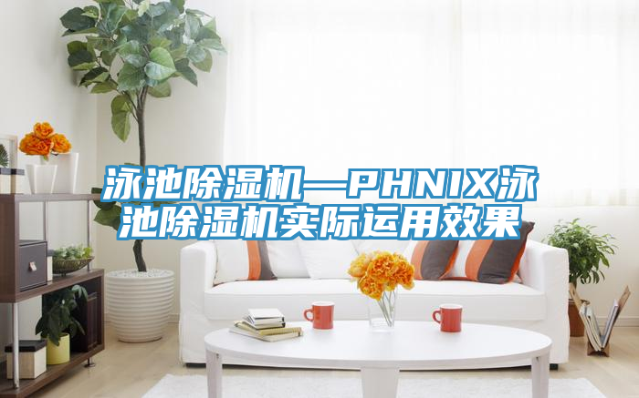 泳池小黄片软件免费下载—PHNIX泳池小黄片软件免费下载實際運用效果