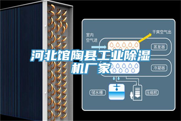 河北館陶縣工業小黄片软件免费下载廠家