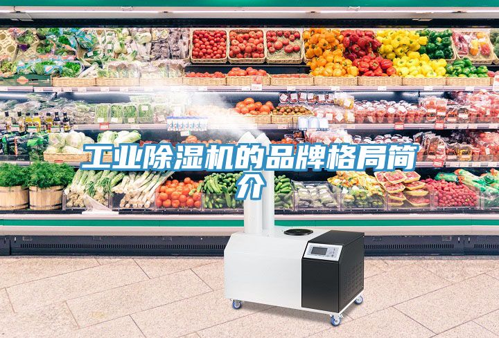 工業小黄片软件免费下载的品牌格局簡介