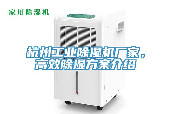 杭州工業小黄片软件免费下载廠家，高效除濕方案介紹