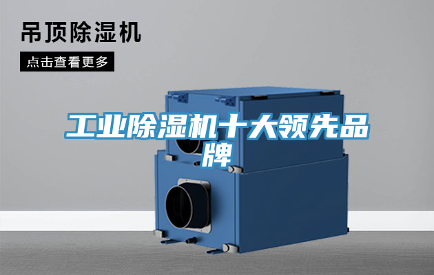 工業小黄片软件免费下载十大領先品牌