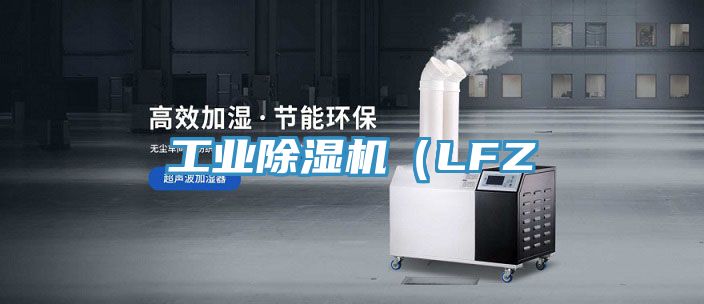 工業小黄片软件免费下载（LFZ