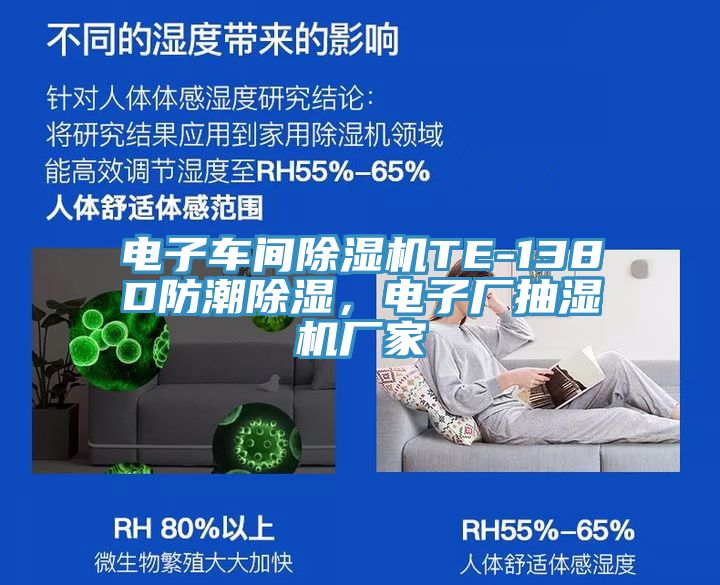 電子車間小黄片软件免费下载TE-138D防潮除濕，電子廠抽濕機廠家