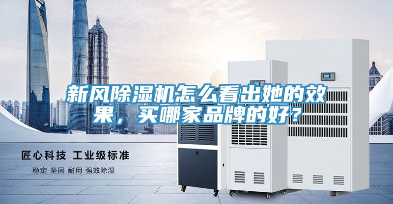 新風小黄片软件免费下载怎麽看出她的效果，買哪家品牌的好？