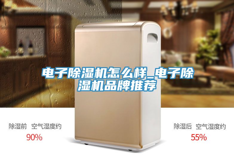 電子小黄片软件免费下载怎麽樣_電子小黄片软件免费下载品牌推薦