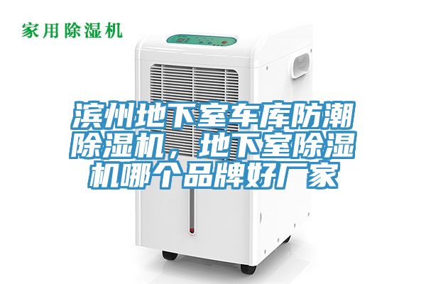 濱州地下室車庫防潮小黄片软件免费下载，地下室小黄片软件免费下载哪個品牌好廠家