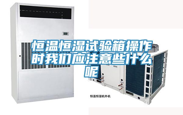 恒溫恒濕試驗箱操作時小黄片怎么下载應注意些什麽呢